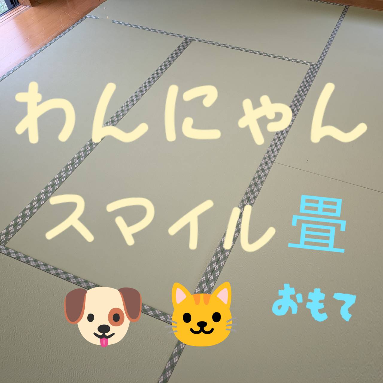 わんにゃんスマイル畳の施工例